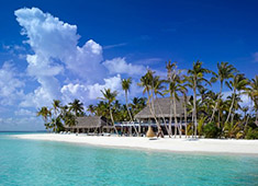 veela island maldives